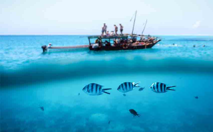 Snorkling On Zanzibar