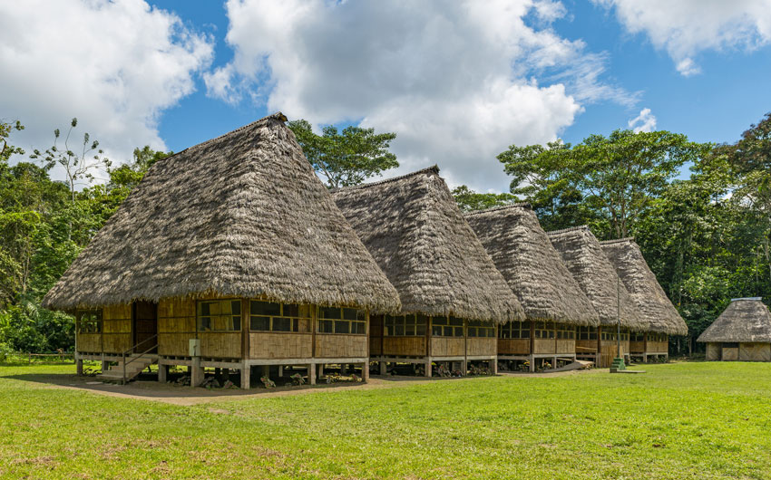 Amazon Rainforest Housing