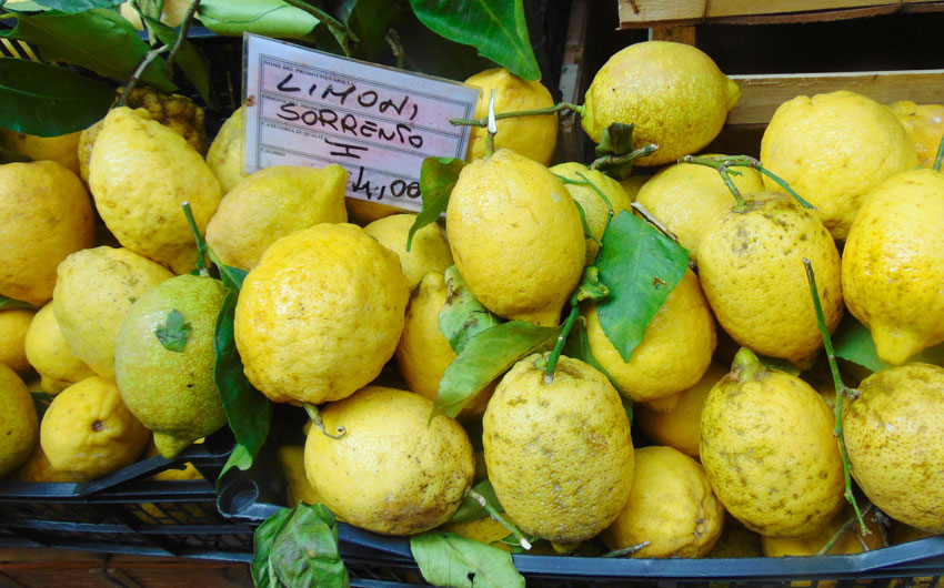 Sorrento's Lemons