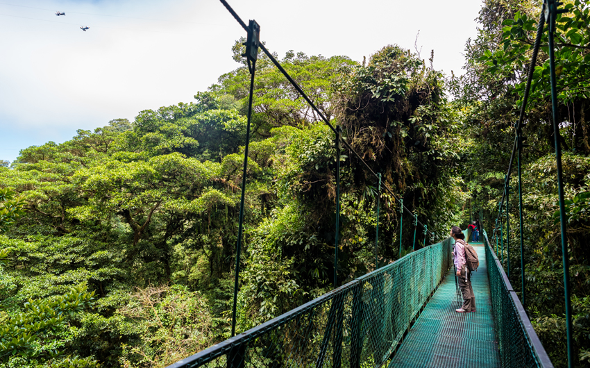 Suspended Bridge at Monteverde Cloud Forest Reserve