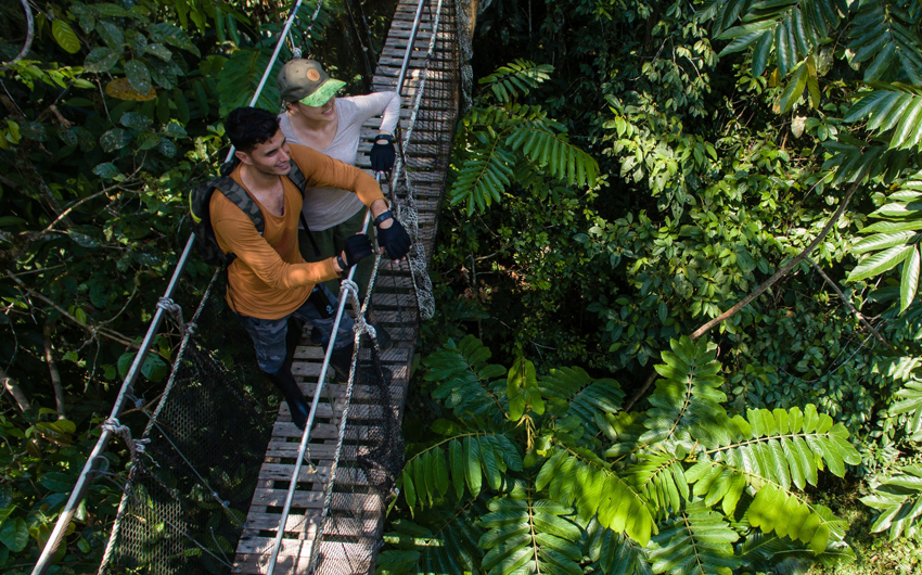 Northern Amazon Rainforesttrail walks