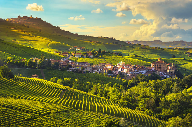 BRA | LANGHE HILLS | BRA