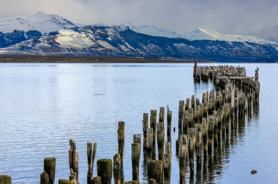 Magdalena Island – Punta Arenas - Disembarkation