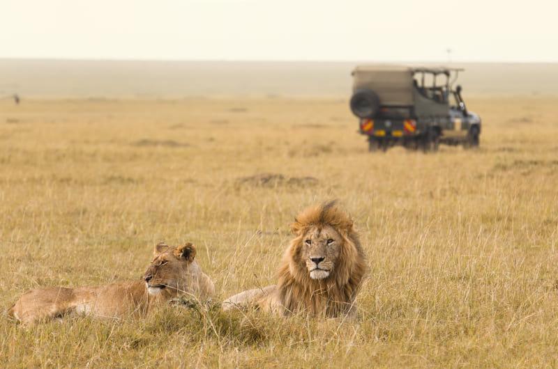Maasai Mara