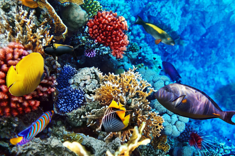 Hurghada