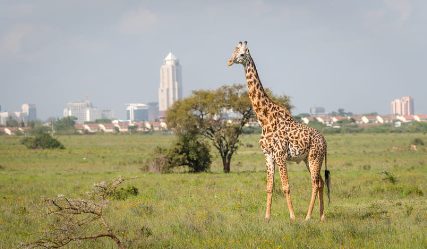 Nairobi