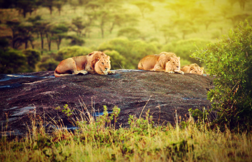 Serengeti National Park