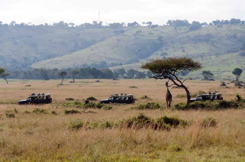 Nairobi | Maasai Mara