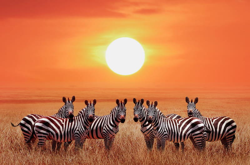 Serengeti National Park