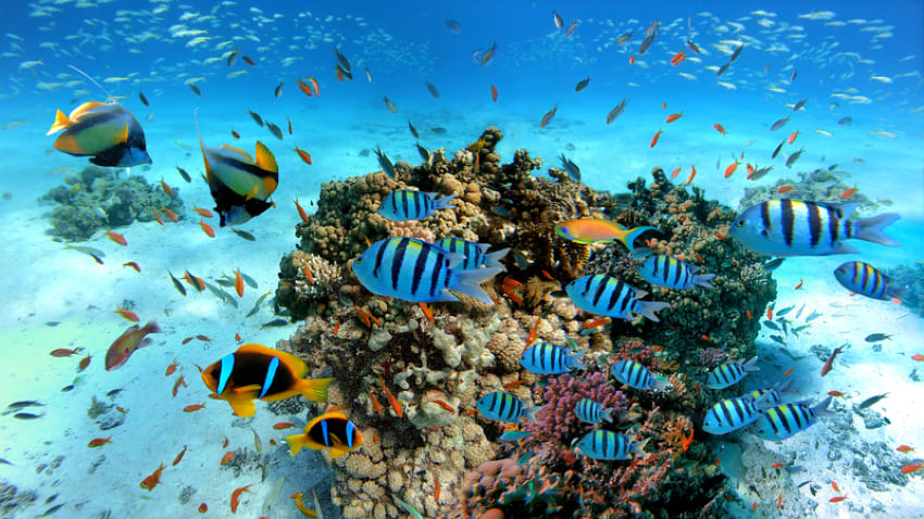 HURGHADA 